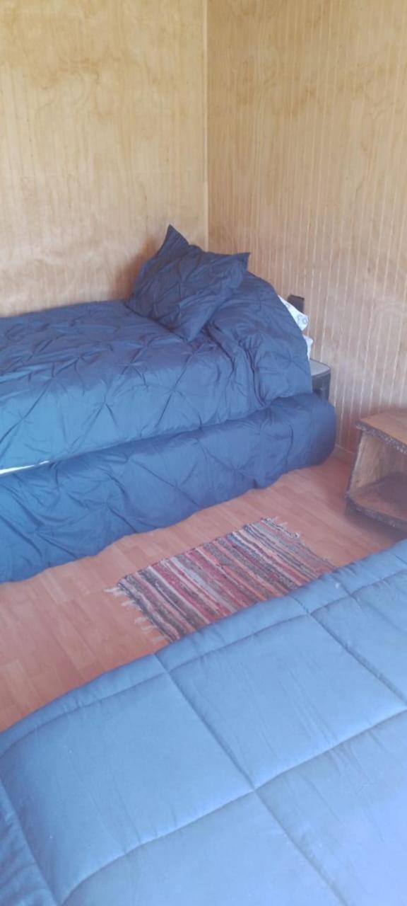 Cercana A Bosque Nativo Frutillar Holiday home